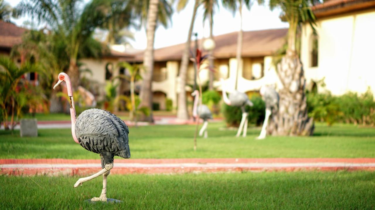 Ocean Bay Hotel & Resort Bakau Exteriör bild